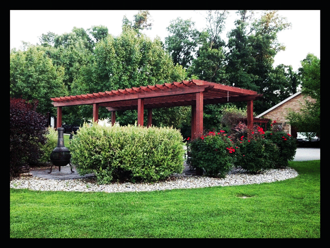 The design of a pergola in the back yard to off set the surroundings! 